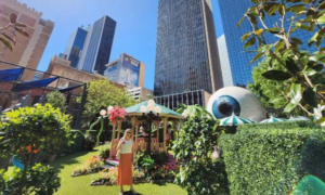 Some Of the Very Best Dallas Travel Attractions